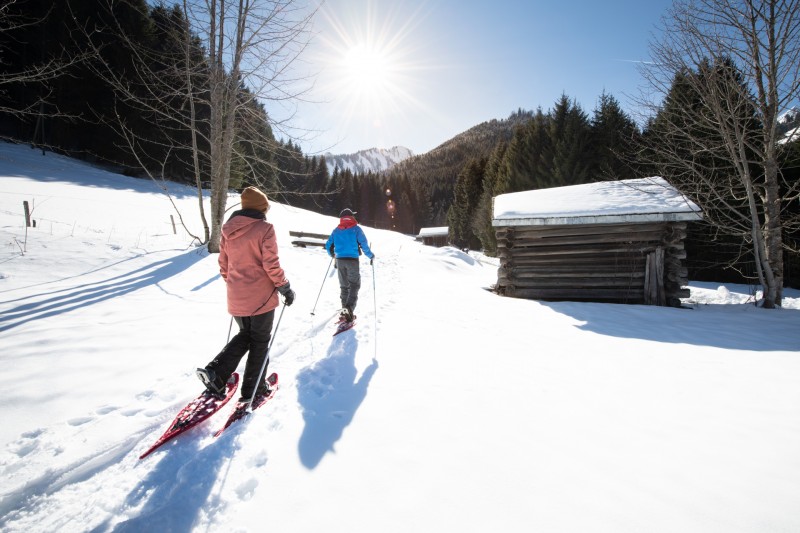 Winter trails, snowshoeing