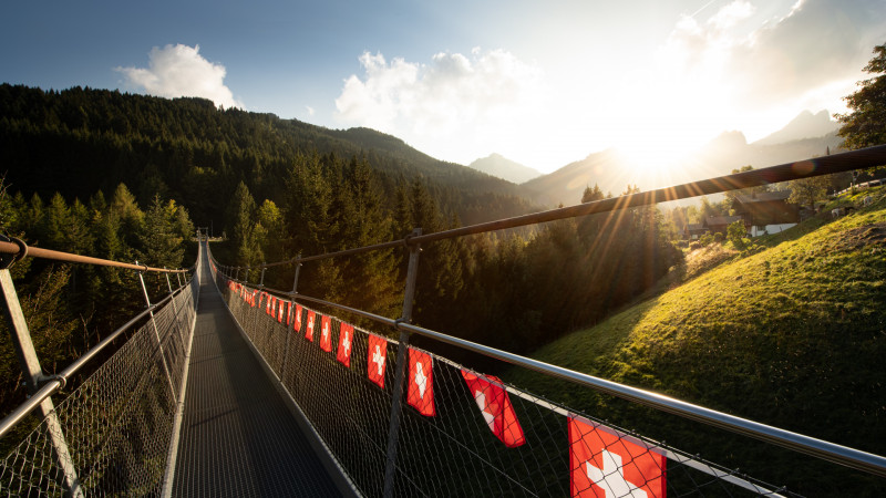 Suspended bridge