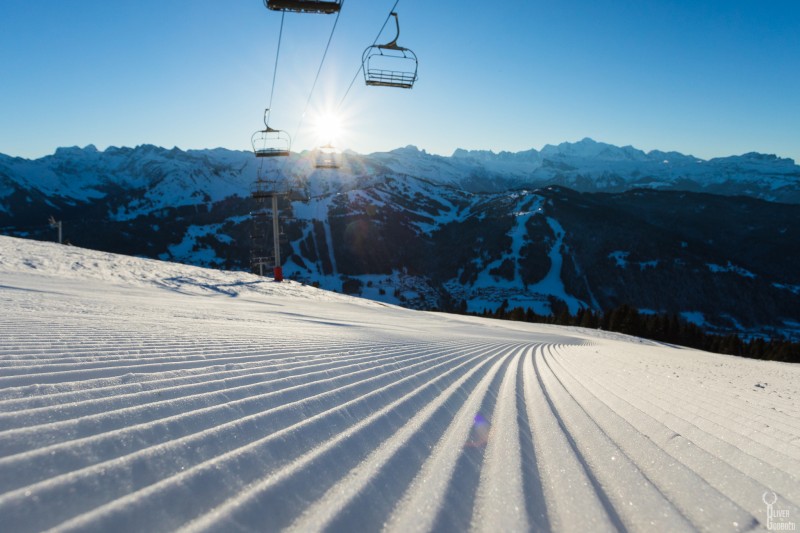 Live ski information, weather forcast