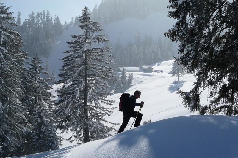 Ski touring