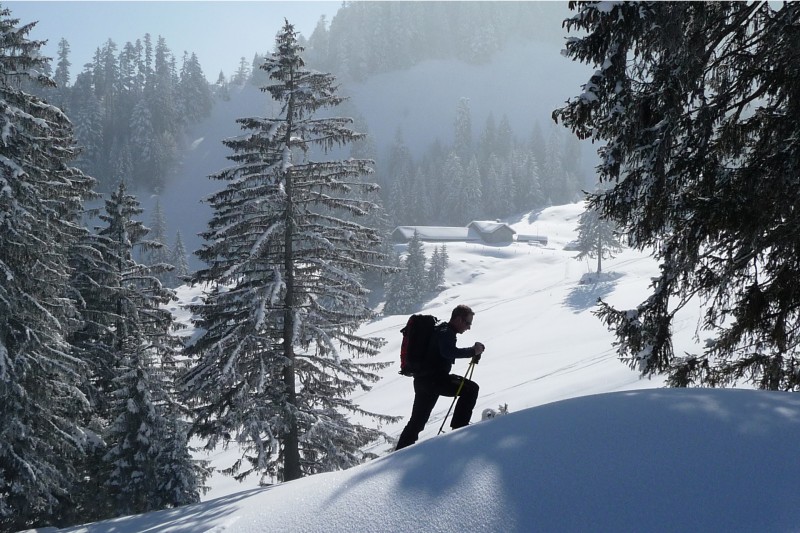 Ski de randonnée