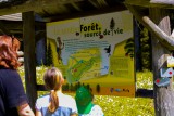 sentier Forêt, source de vie