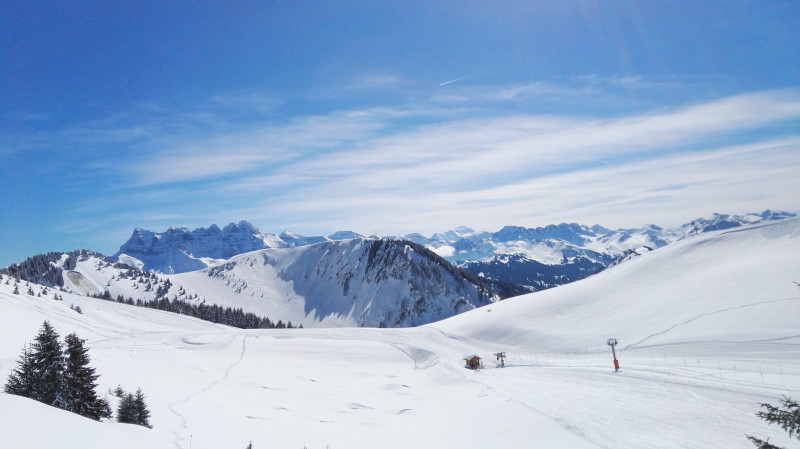 Torgon - Tête du Tronchey Torgon - Tête du Tronchey