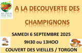 À la découverte des Champignons !_Torgon