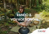 Rando et voyage sonore_Torgon