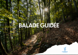 Balade guidée_Torgon