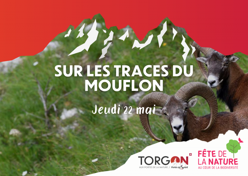 Fête de la Nature 2025_Torgon