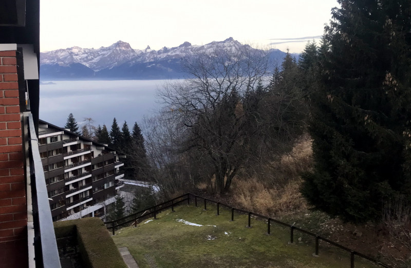 vue depuis le balcon