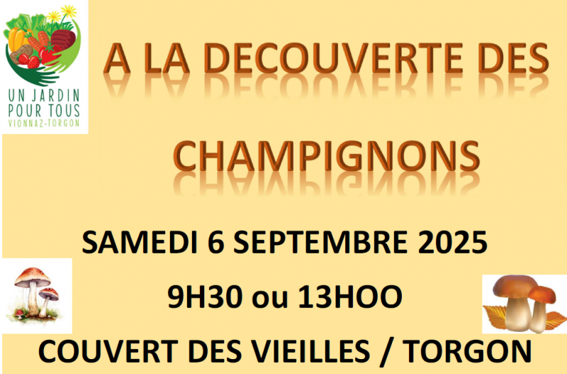À la découverte des Champignons !_Torgon