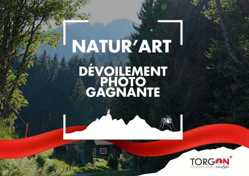 Dévoilement Natur'art_Torgon