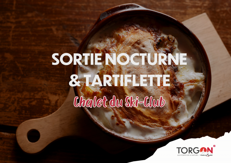 Sortie nocturne et tartiflette_Torgon