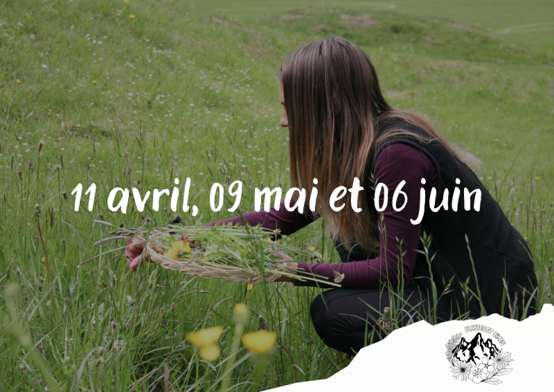 A la découverte des plantes sauvages_Torgon