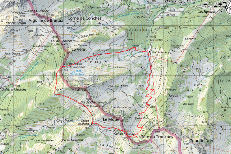 Balade guidée_Torgon Balade guidée_Torgon