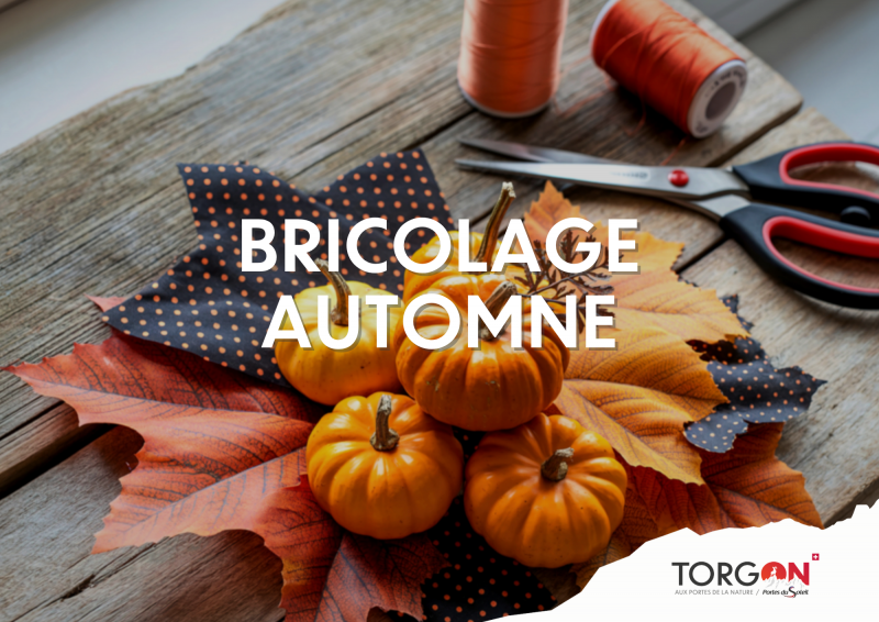 Bricolage d'automne_Torgon