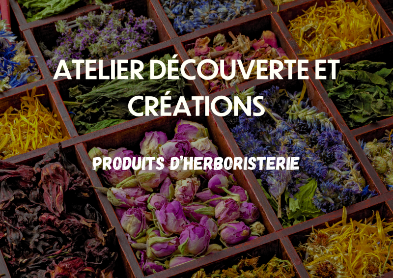 Atelier découverte et création de produits d'herboristerie_Torgon