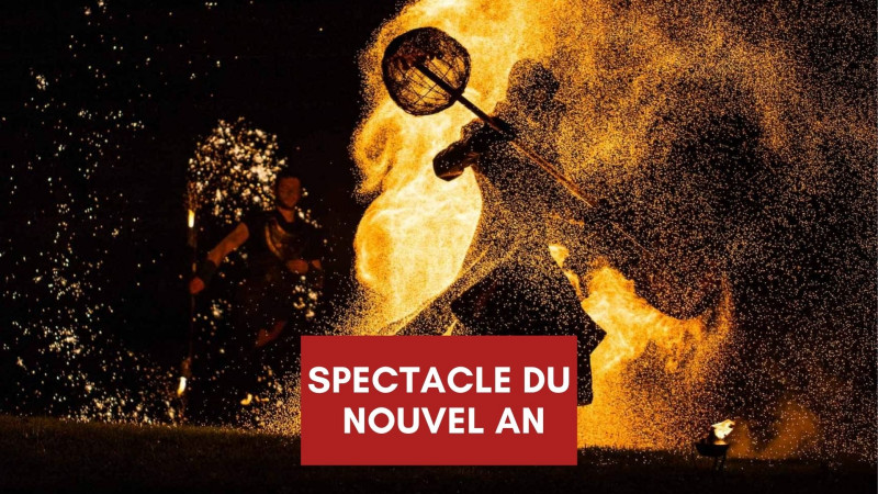 affiche_site_spectacle_du_nouvel_an.jpg