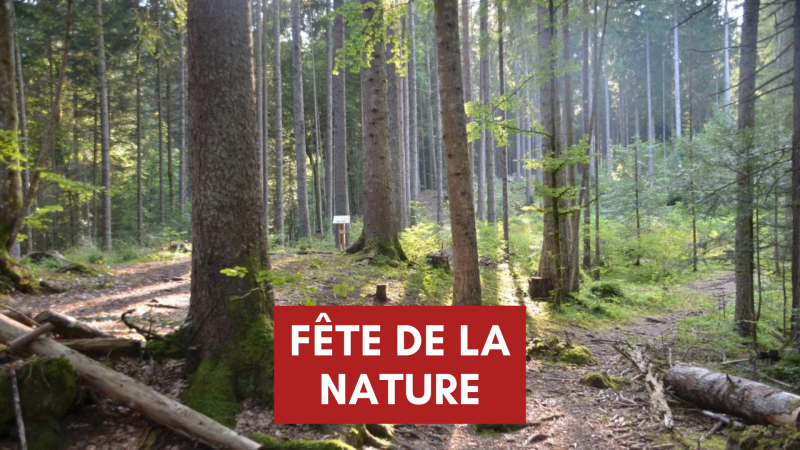 fete_de_la_nature_1.png