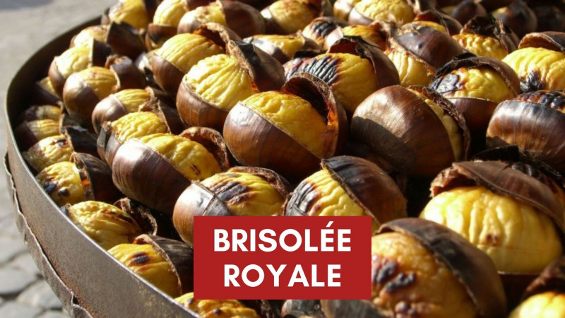 Brisolée royale