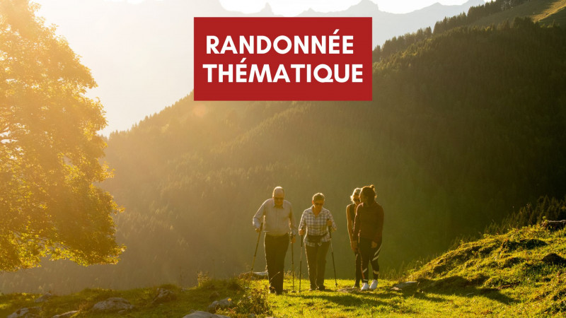 randonnee_thematique.jpg
