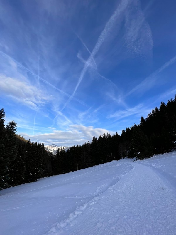 winter-trail-2-4840